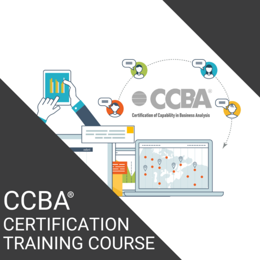 CCBA Certification Training Course