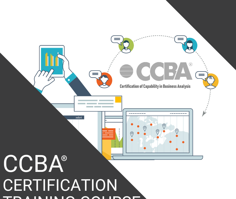 CCBA Certification Training Course