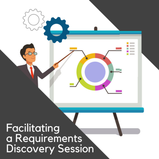 Facilitating A Requirements Discovery Session