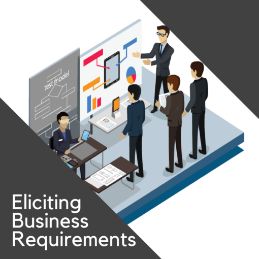 Eliciting Business Requirements Eliciting Business Requirements